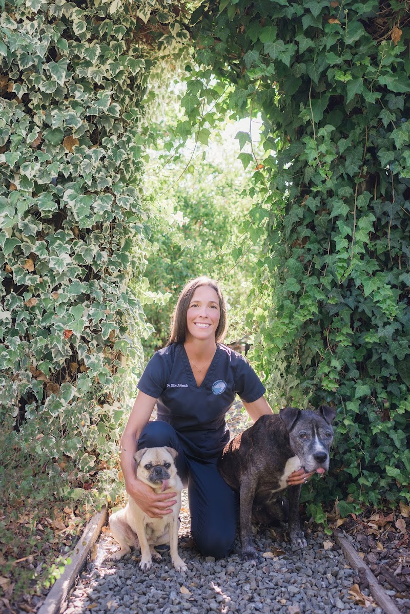 Napa Valley Holistic Veterinary Services photo 4