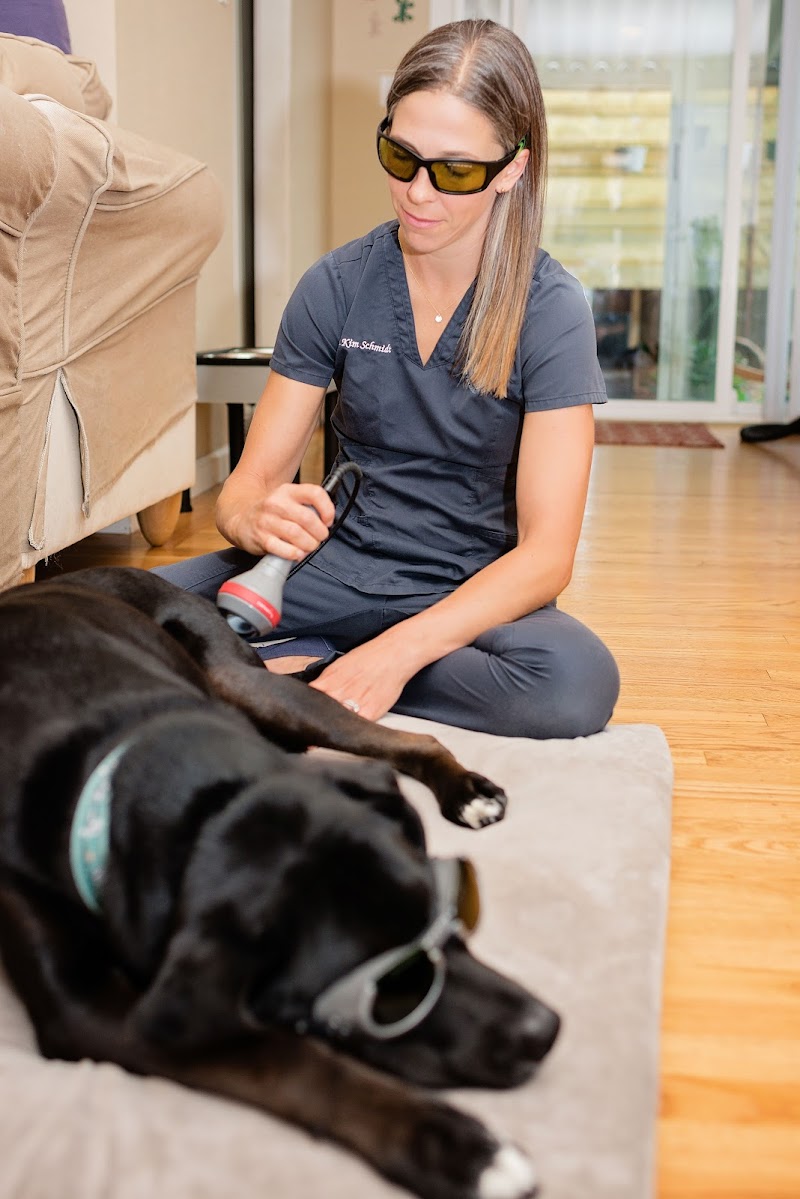 Photo of Napa Valley Holistic Veterinary Services