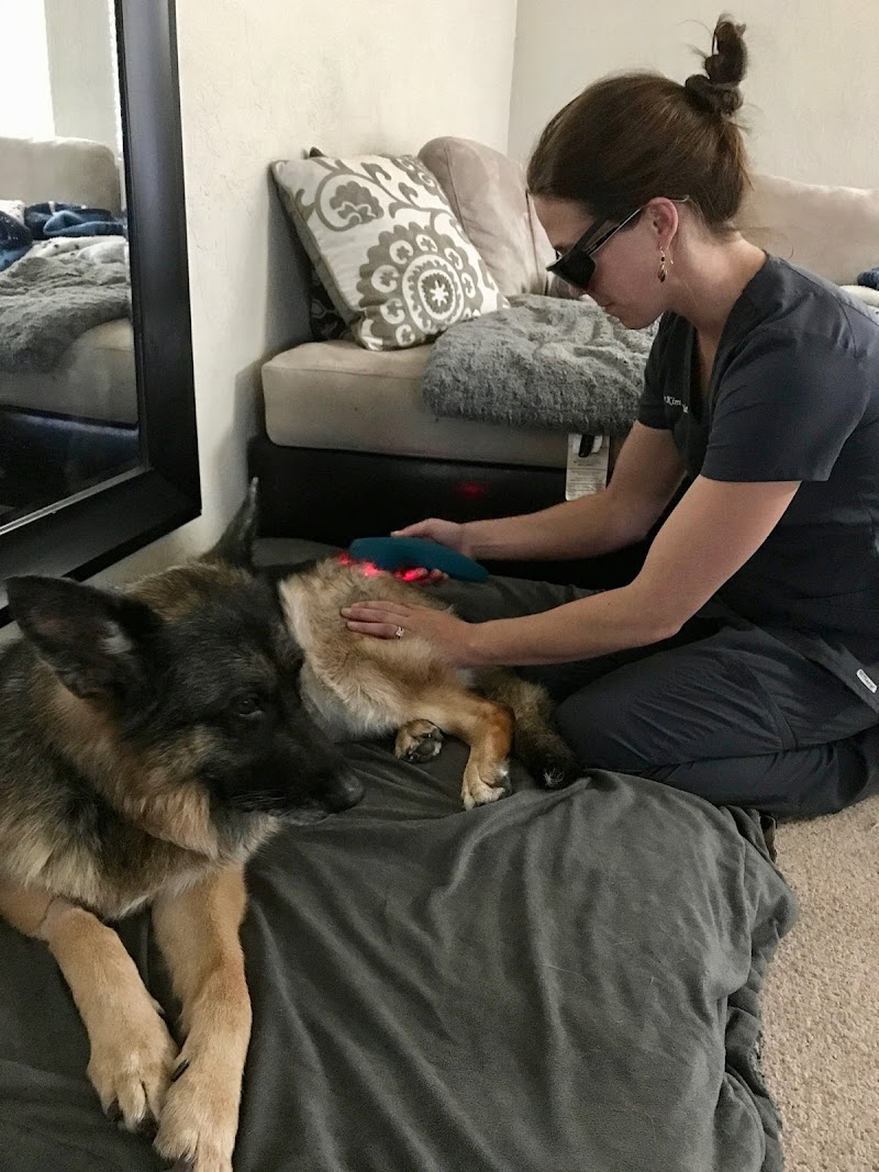 Napa Valley Holistic Veterinary Services photo 3