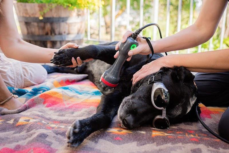 Napa Valley Holistic Veterinary Services photo 2
