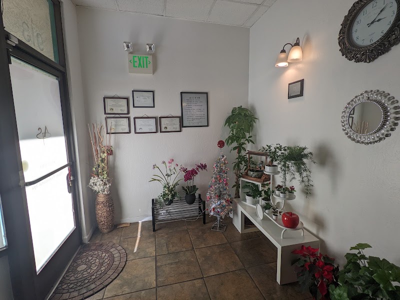 Albany Professional SPA photo 2