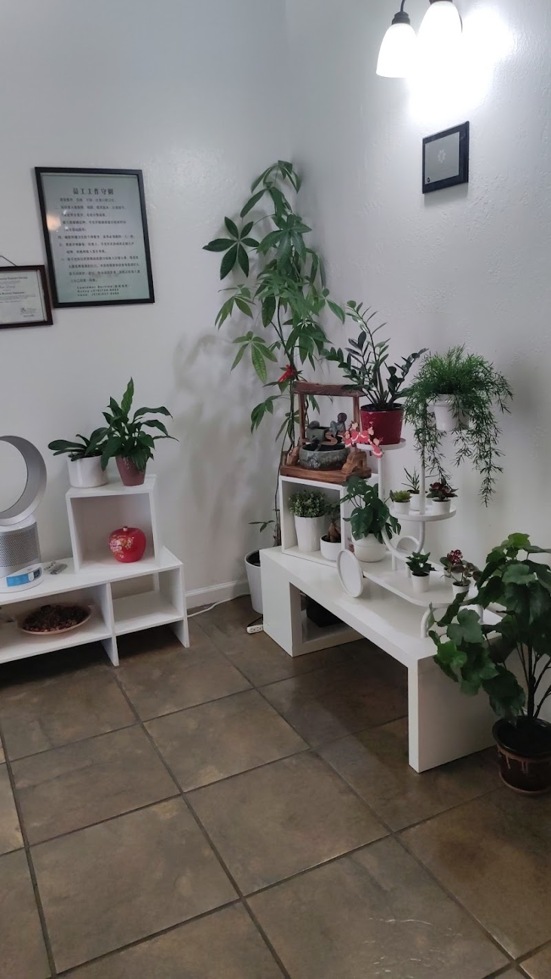 Albany Professional SPA photo 3