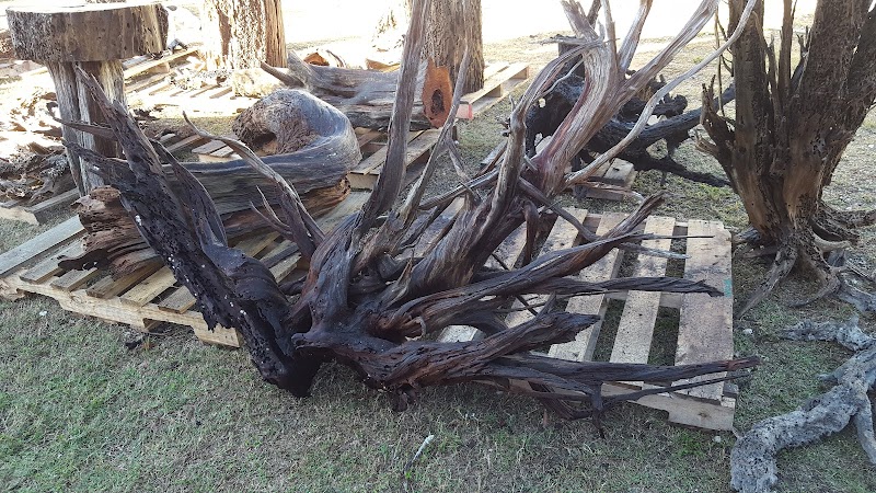 C'Sins Awesome Emporium & Driftwood Station LLC photo 2