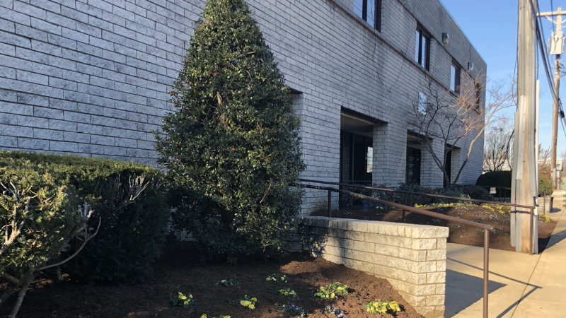 Annapolis Chiropractic Associates photo 5