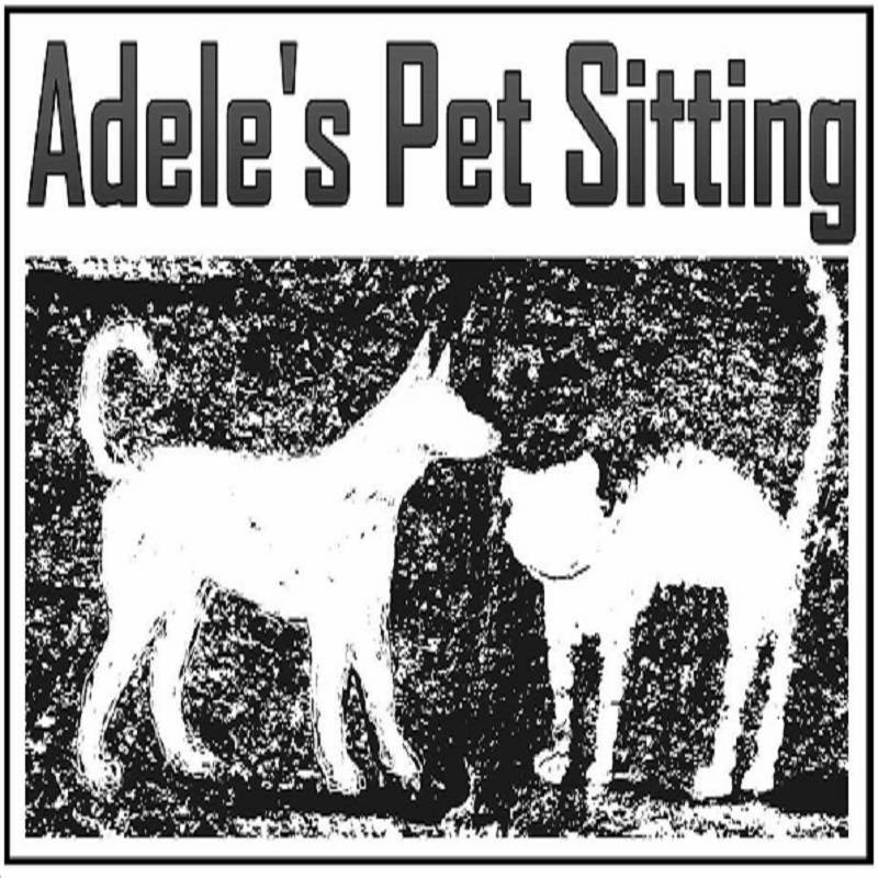 Adele's Pet Sitting photo 2