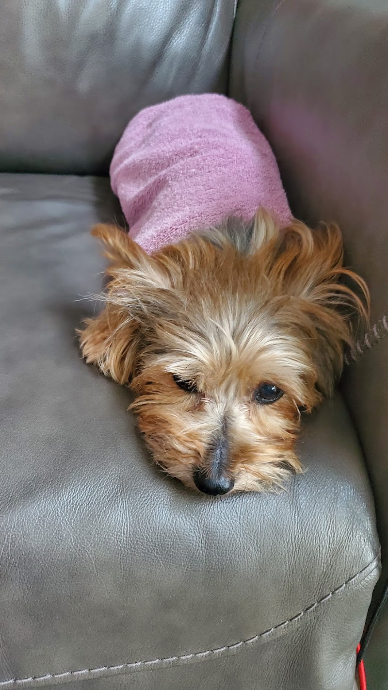 Turkey Creek Animal Hospital photo 4