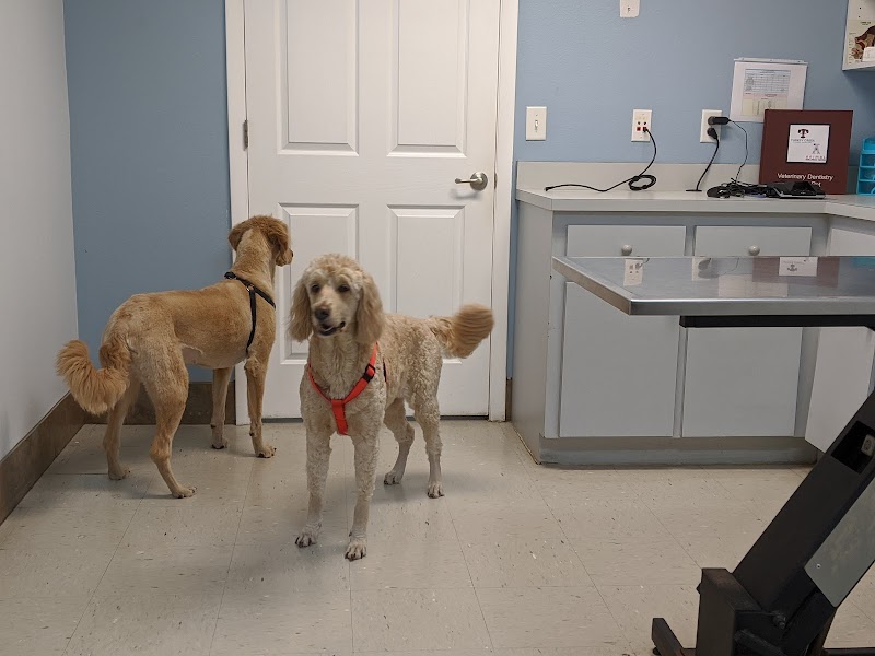 Turkey Creek Animal Hospital photo 5