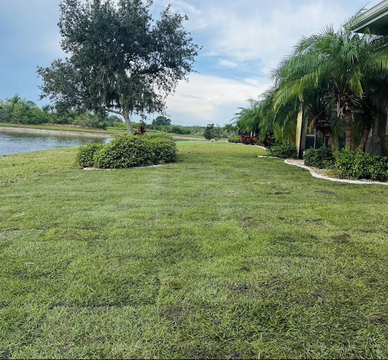 Photo of Council Growers Sod