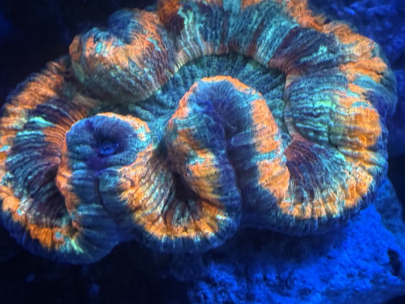 ACI Aquaculture Inc photo 2