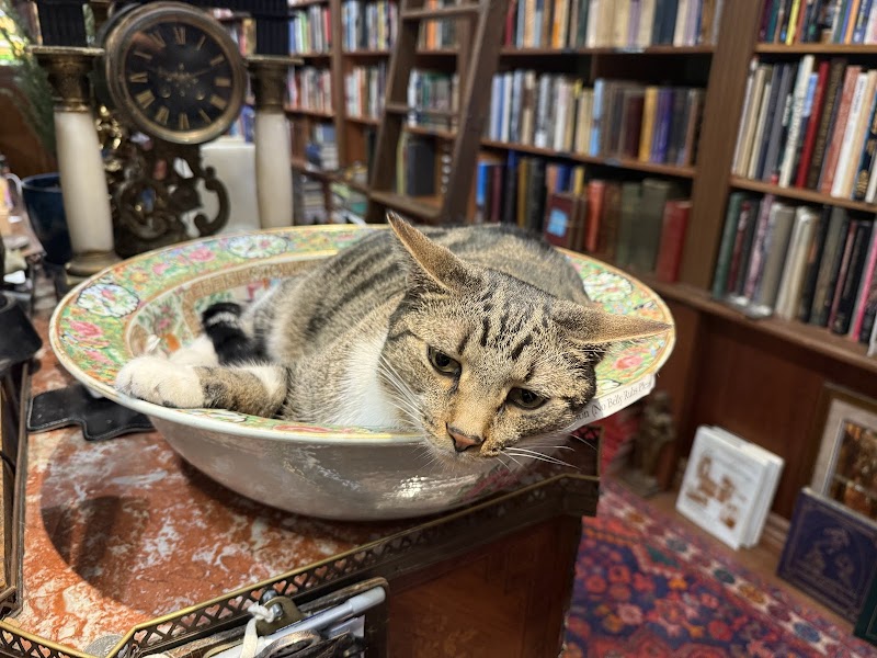 Old Florida Book Shop photo 5