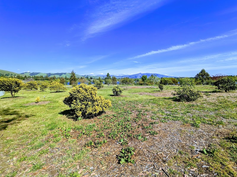 Rare Fruit Grove photo 2