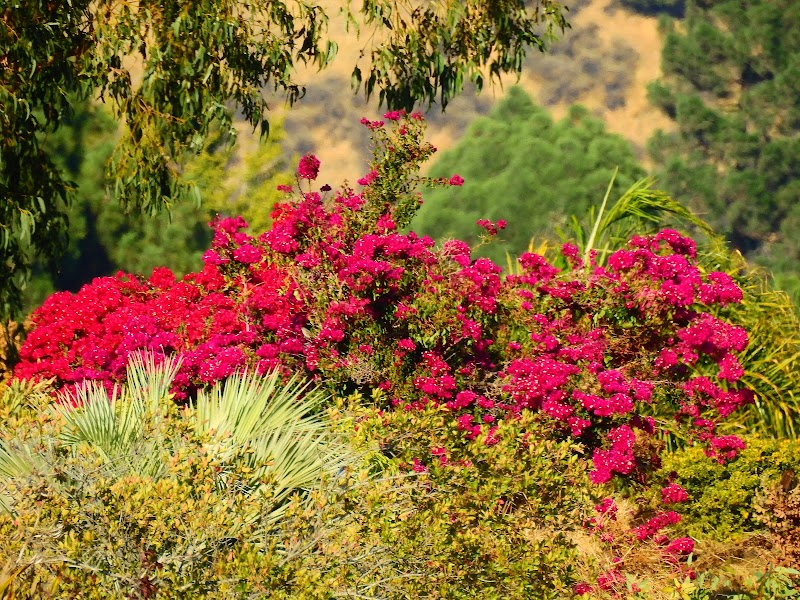 Photo of Rare Fruit Grove