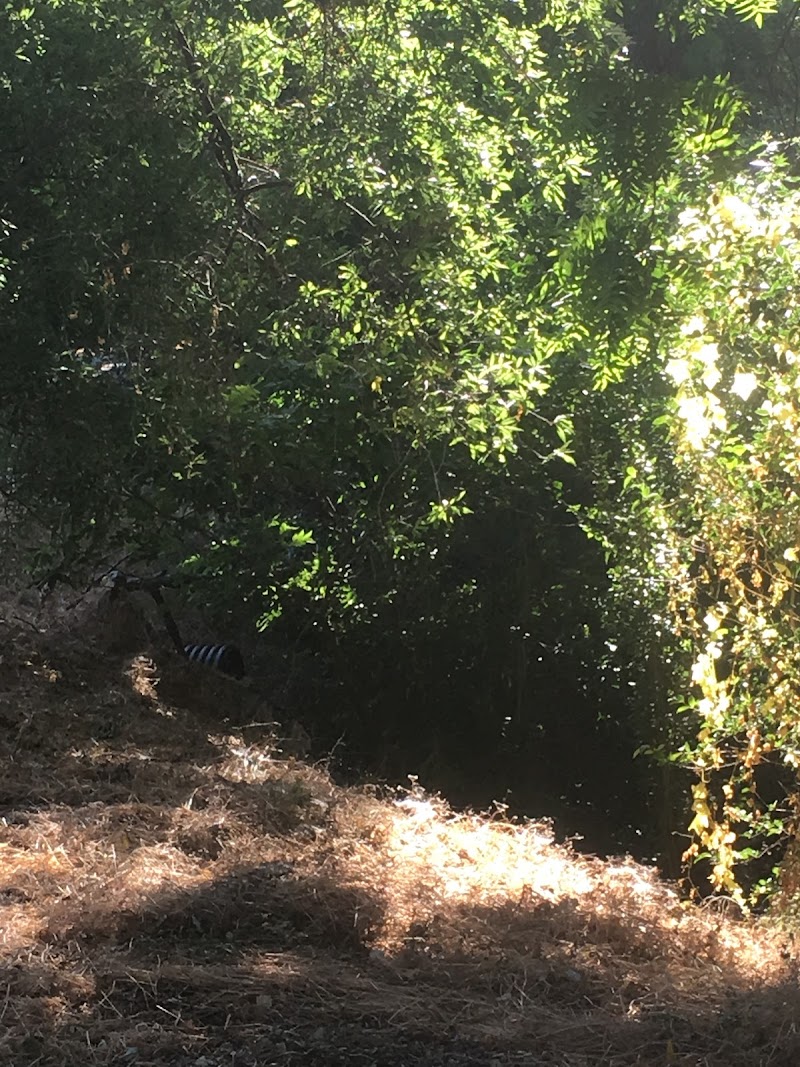 Patwin Park photo 4