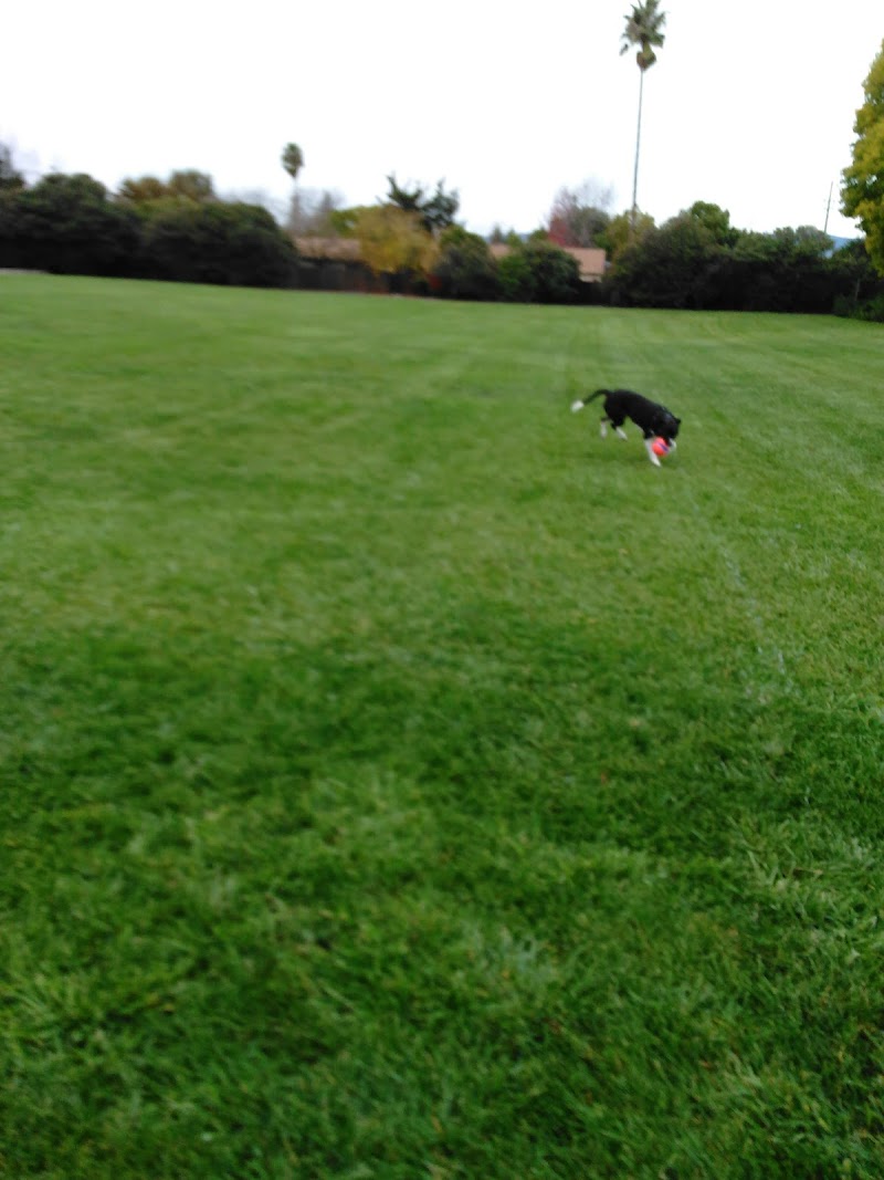 Patwin Park photo 5