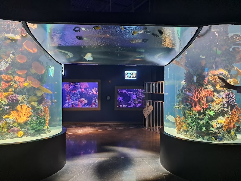 Daytona Aquarium & Rainforest Adventure photo 4