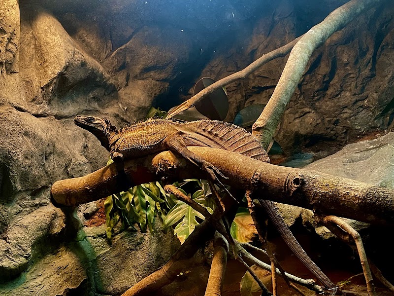 Daytona Aquarium & Rainforest Adventure photo 3