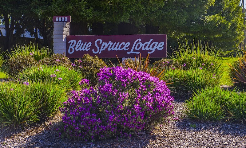 Blue Spruce Mobilehome Lodge photo 2