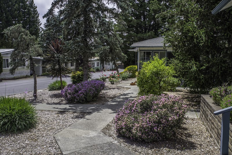Photo of Blue Spruce Mobilehome Lodge