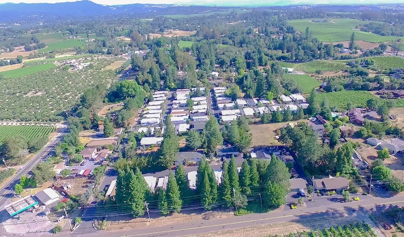 Blue Spruce Mobilehome Lodge photo 4