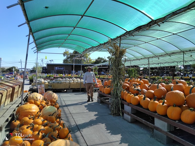 Green Acres Nursery & Supply photo 4