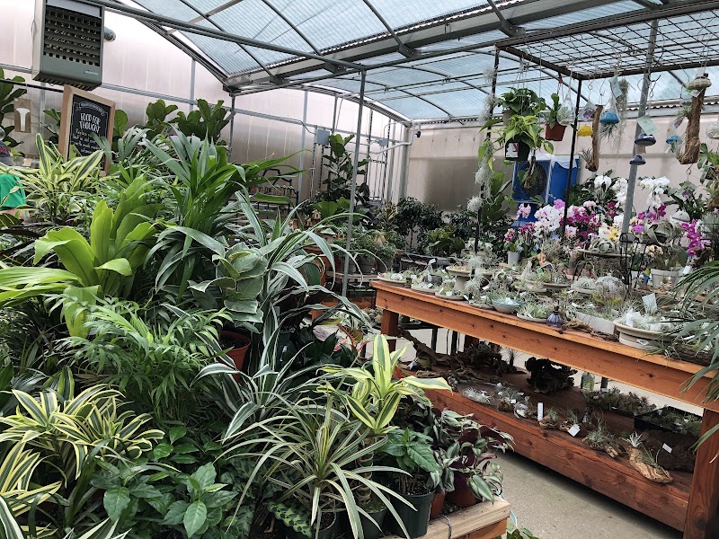 Green Acres Nursery & Supply photo 5
