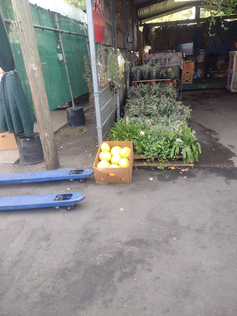 Photo of JVL Produce Plant City