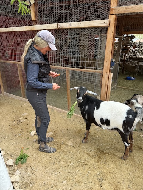 Sunny Haven Farm Animal Sanctuary photo 5