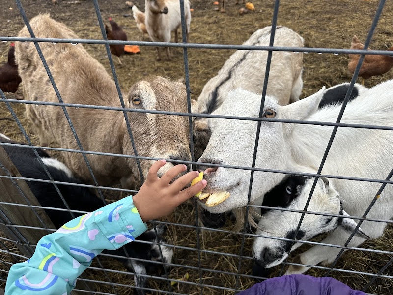 Fulton Community School & Farm photo 2
