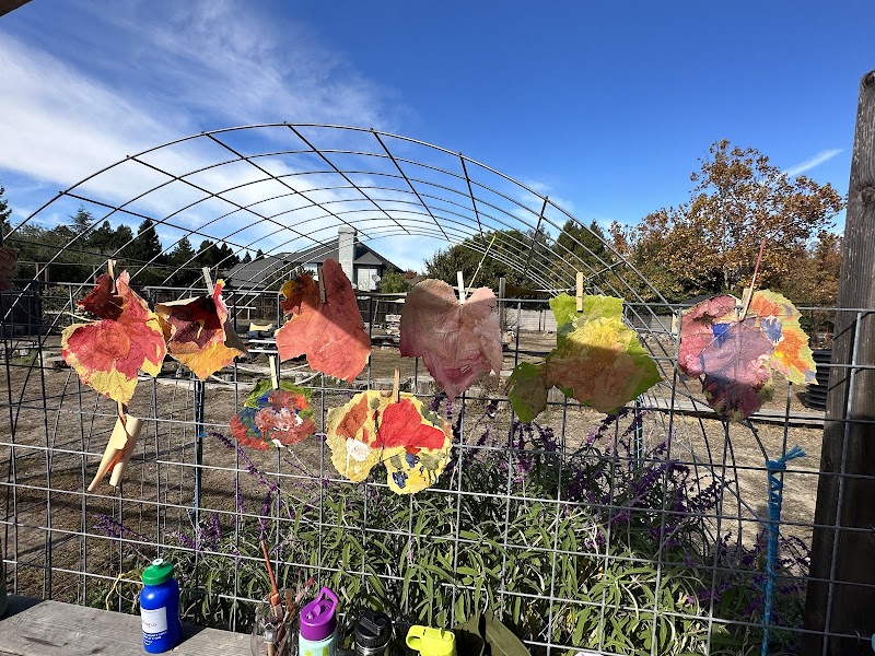 Fulton Community School & Farm photo 3