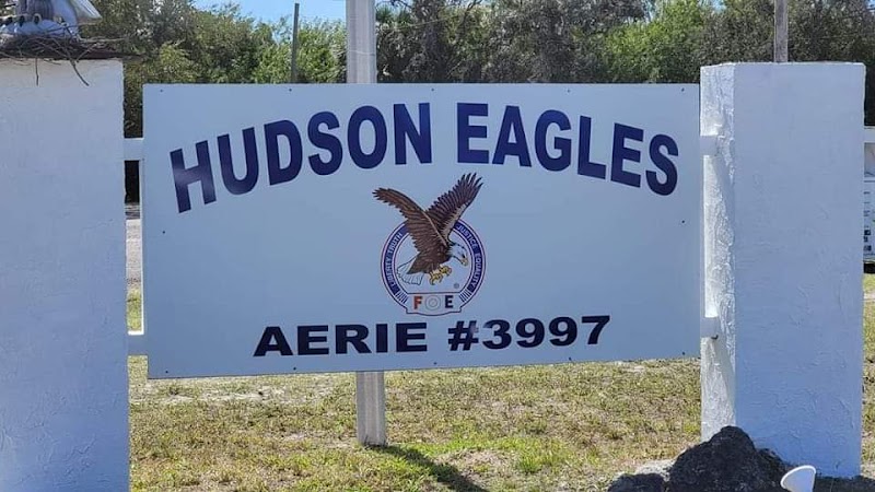 Hudson Eagles 3997 photo 2
