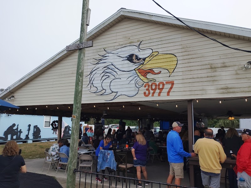Hudson Eagles 3997 photo 4