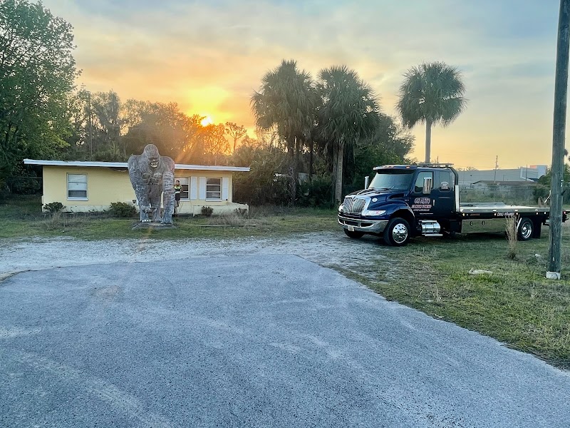 Crystal River Gorilla photo 4