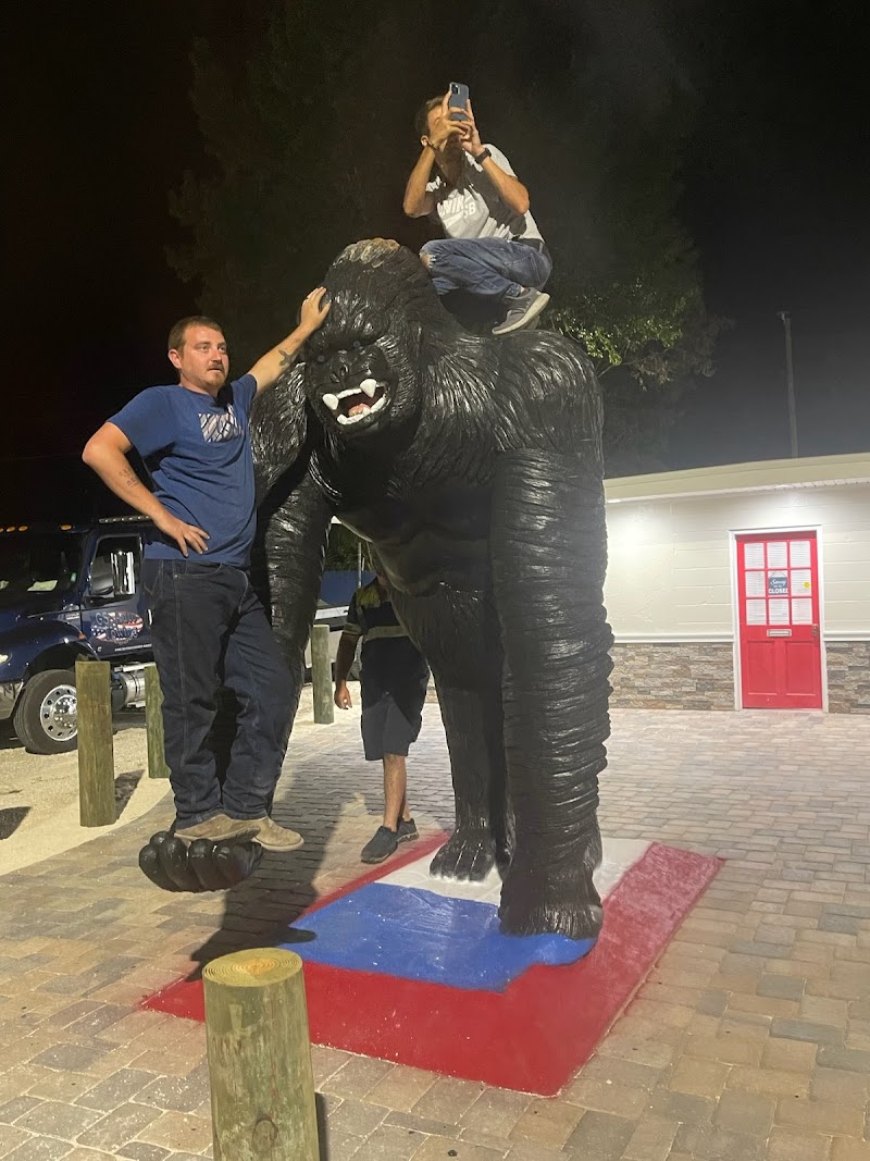 Photo of Crystal River Gorilla