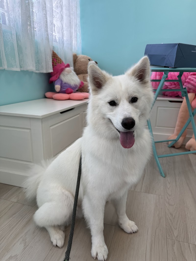 Furever Grooming photo 5