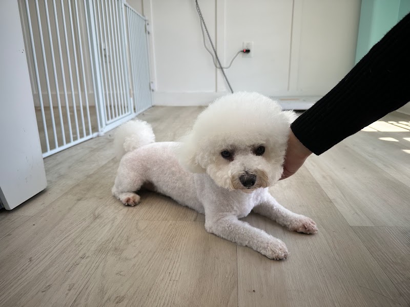 Photo of Furever Grooming