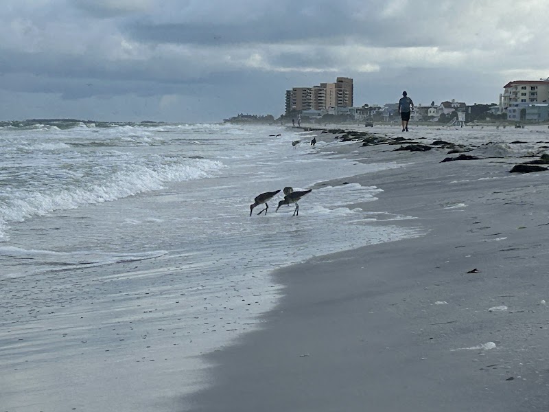 Clearwater beach photo 5