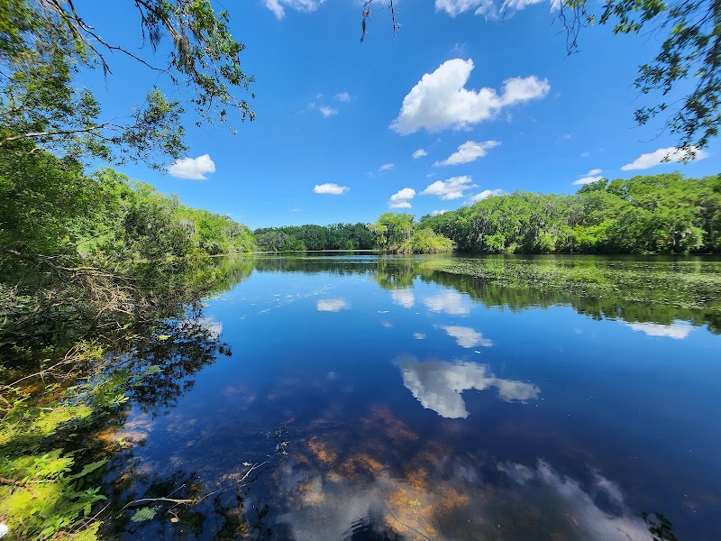 Photo of SYDNEY DOVER TRAILS
