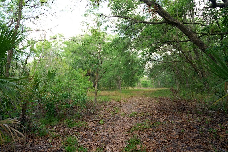 SYDNEY DOVER TRAILS photo 4