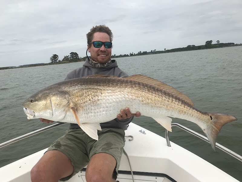 Photo of Chesapeake Coastal Charters