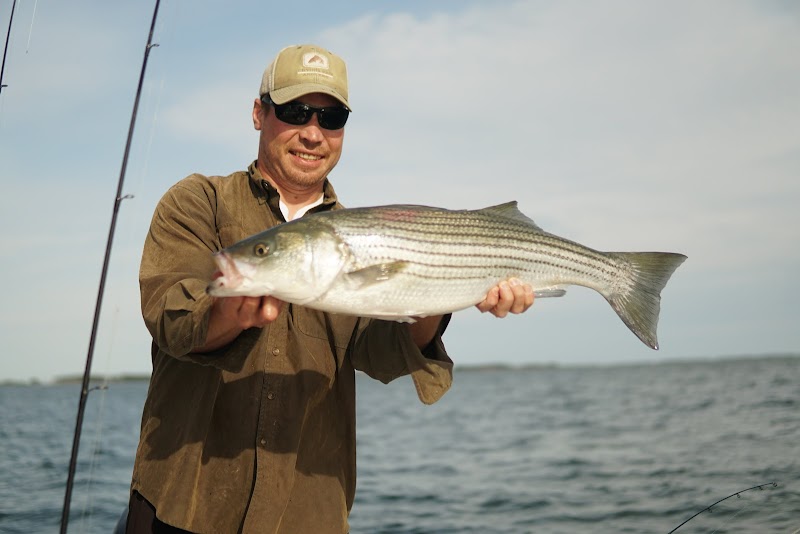 Chesapeake Coastal Charters photo 2
