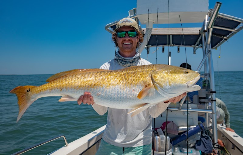 Chesapeake Coastal Charters photo 4