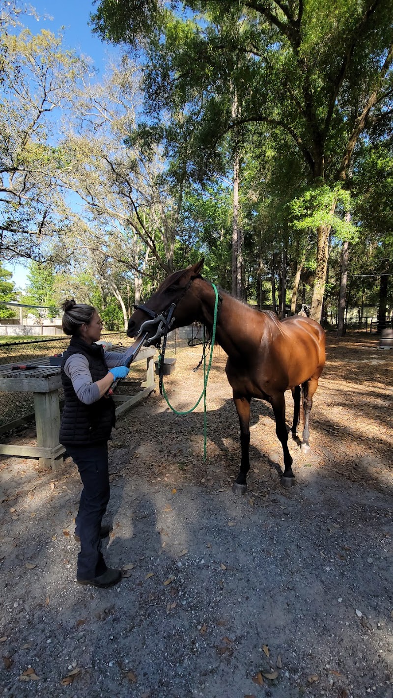 Photo of Blue Skies Equine Services Inc