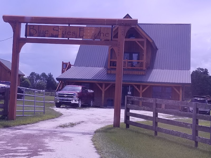 Blue Skies Equine Services Inc photo 5