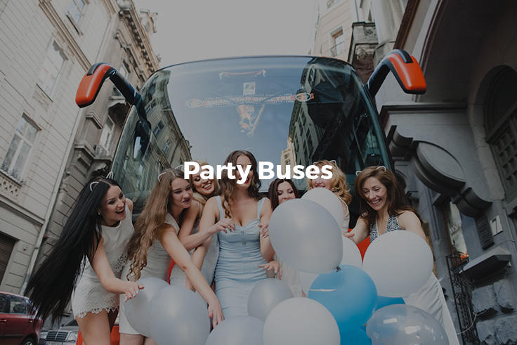 Limousine Partners Inc photo 3