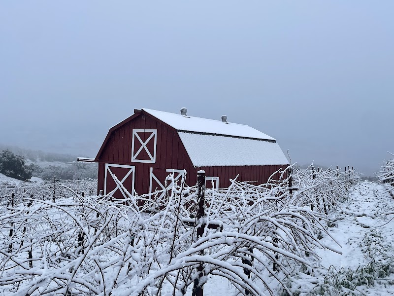 Photo of Smith Ranch Vineyard's