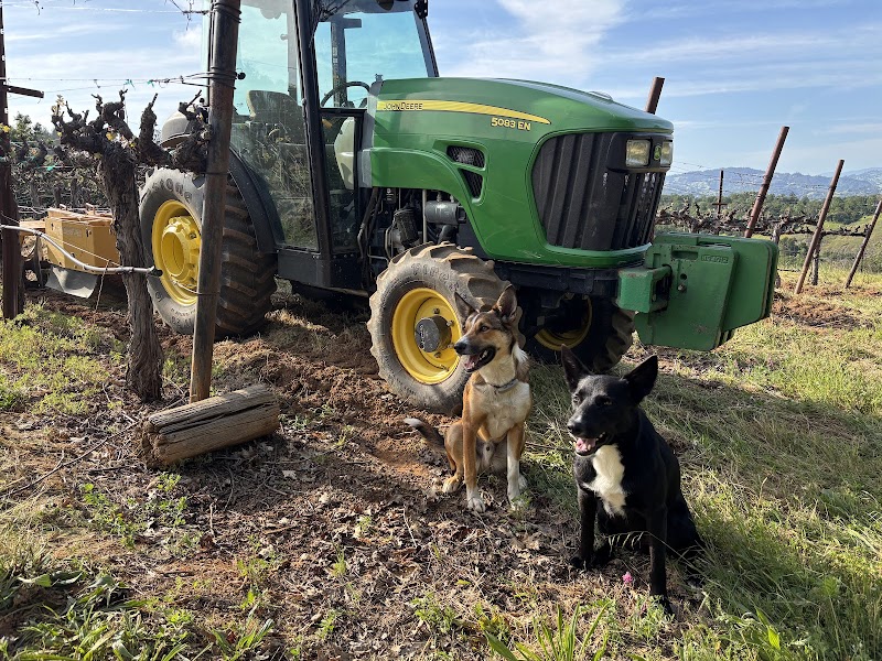 Smith Ranch Vineyard's photo 2