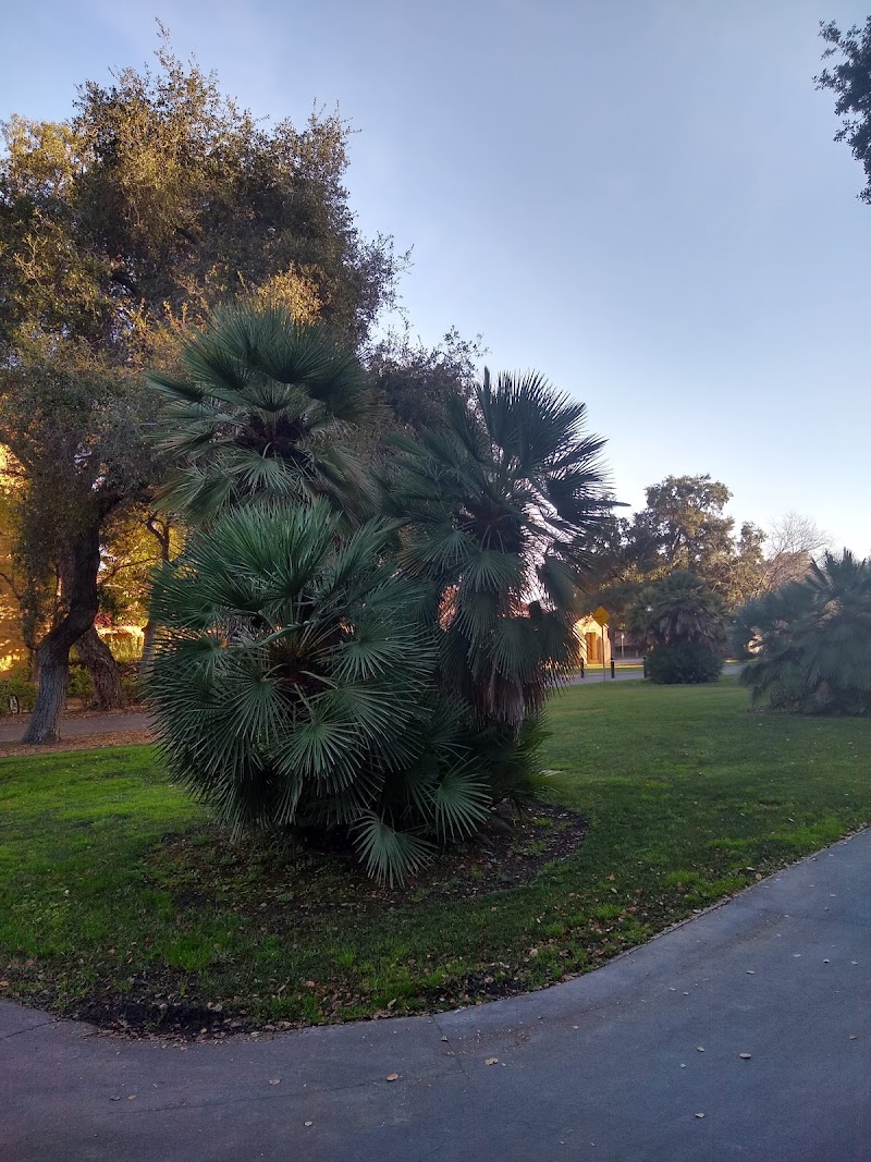 Escondido Turnaround photo 5