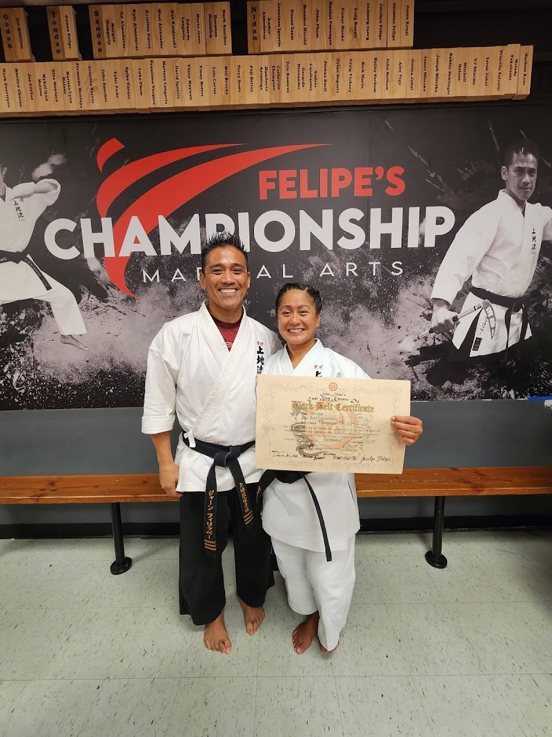 Felipe's Championship Martial Arts photo 4