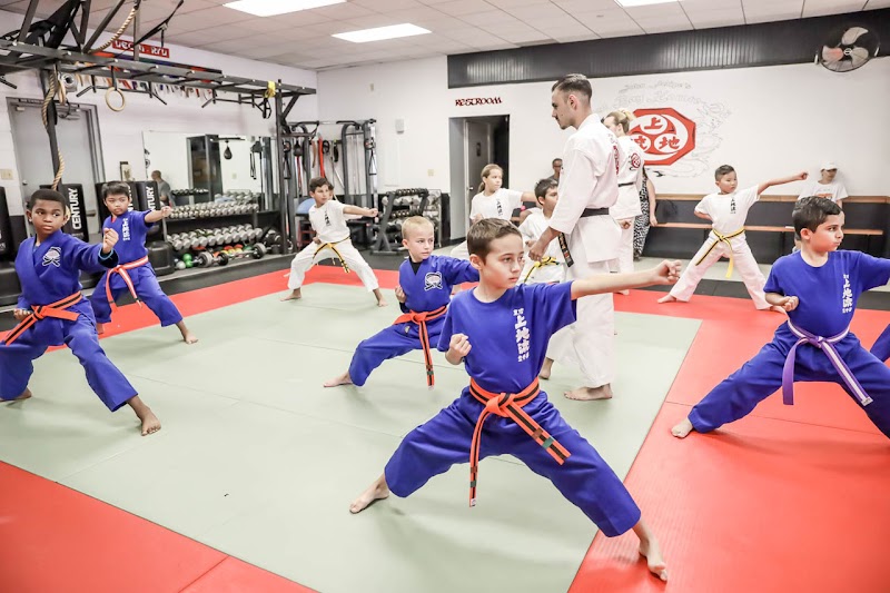 Felipe's Championship Martial Arts photo 2