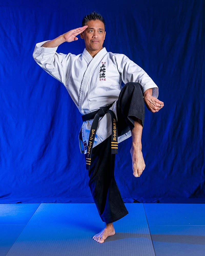 Felipe's Championship Martial Arts photo 5